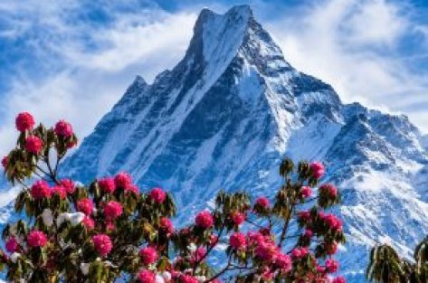 Rudraksha Holidays
